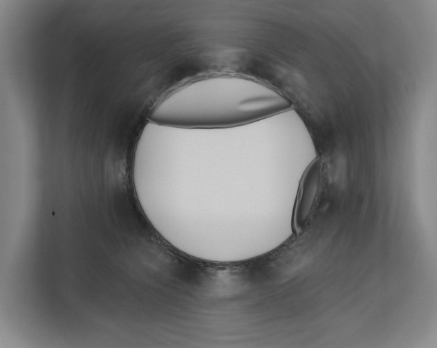 X0000112460564200909141100