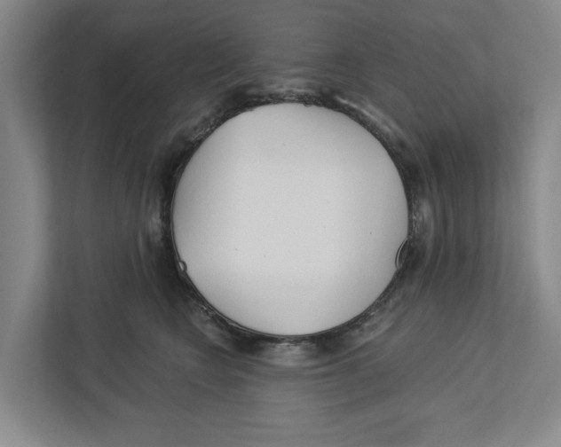 X0000112460566200909141100