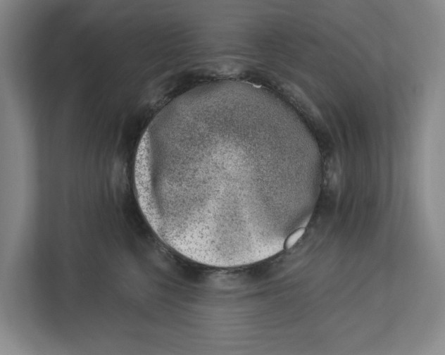 X0000112460568200909141100