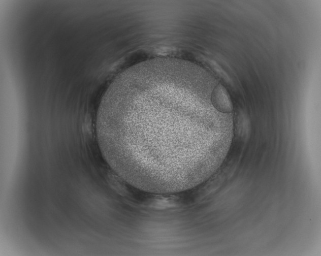 X0000112460569200909141100