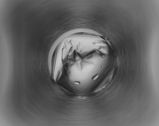 X0000112460570200909141100