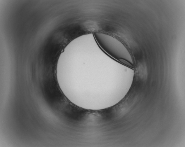 X0000112460572200909141100