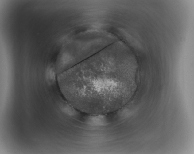 X0000112460576200909141100