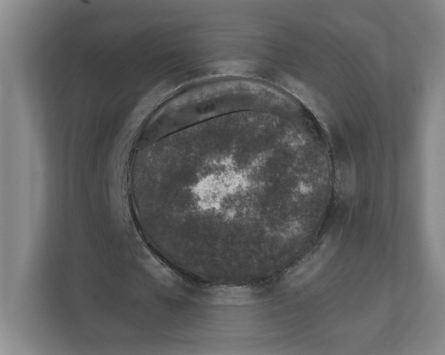X0000112460577200909141100