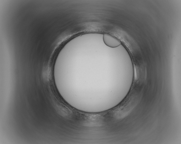 X0000112460579200909141100