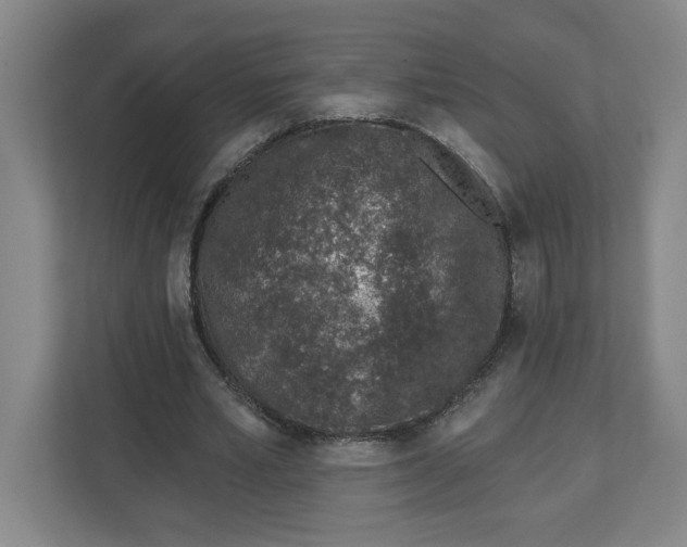 X0000112460581200909141100