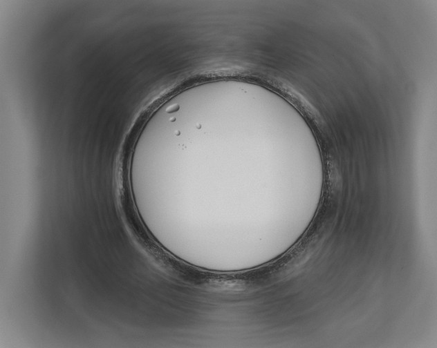 X0000112460582200909141100