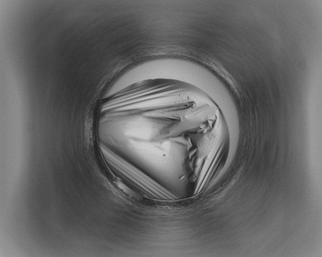 X0000112460585200909141100