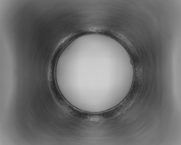 X0000112460587200909141100