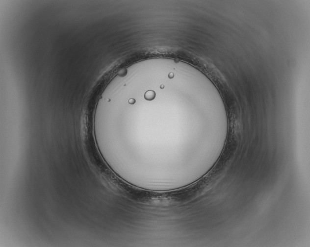 X0000112460591200909141100