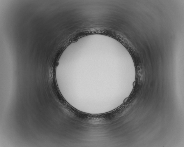 X0000112460593200909141100