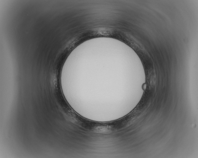 X0000112460595200909141100