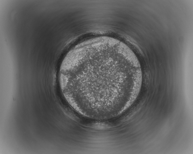 X0000112460596200909141100