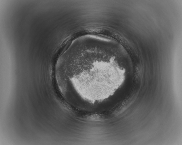 X0000112460600200909141059