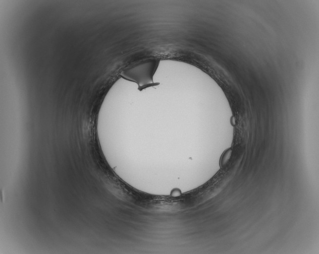 X0000112460601200909141059