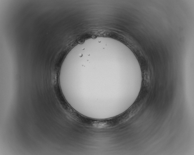 X0000112460602200909141059