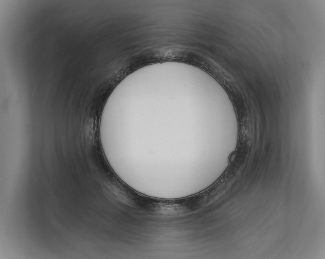 X0000112460605200909141059
