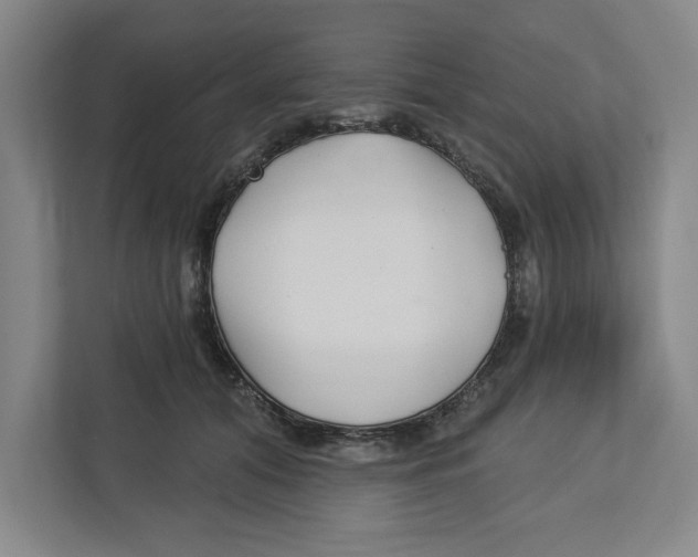 X0000112460608200909141059