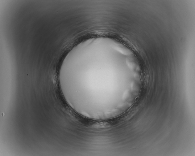 X0000112460609200909141059