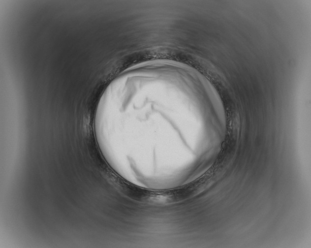 X0000112460610200909141059