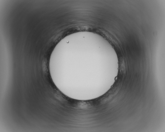 X0000112460616200909141059