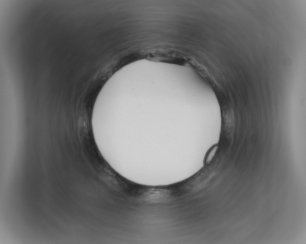 X0000112460617200909141059