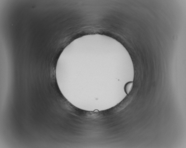 X0000112460624200909141059