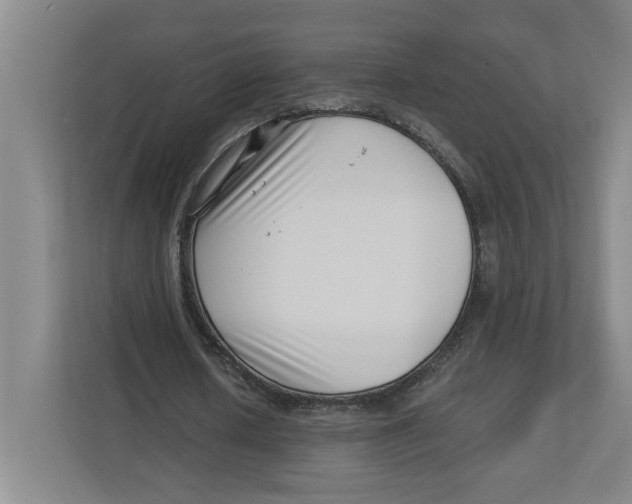 X0000112460626200909141059