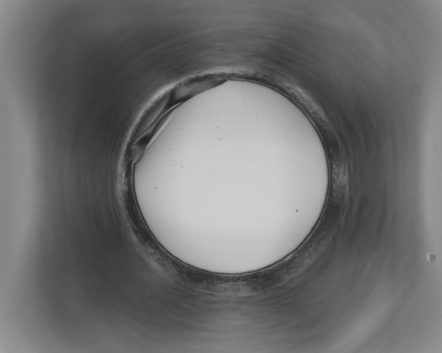 X0000112460628200909141059