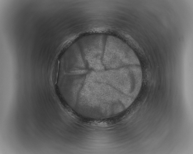 X0000112460640200909141059