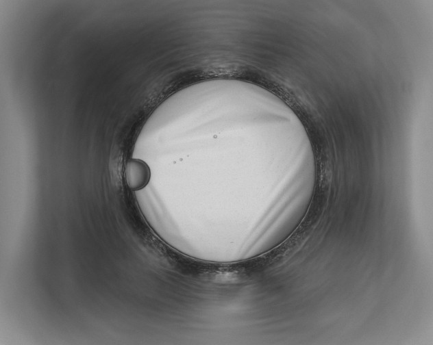 X0000112460647200909141059
