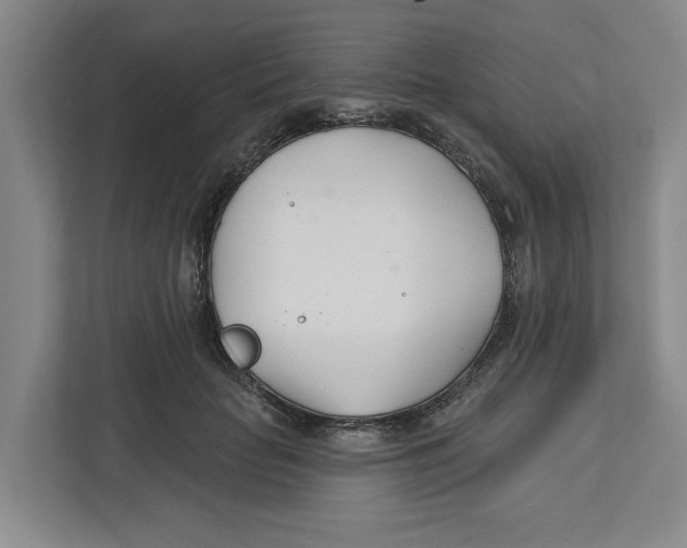 X0000112460653200909141059