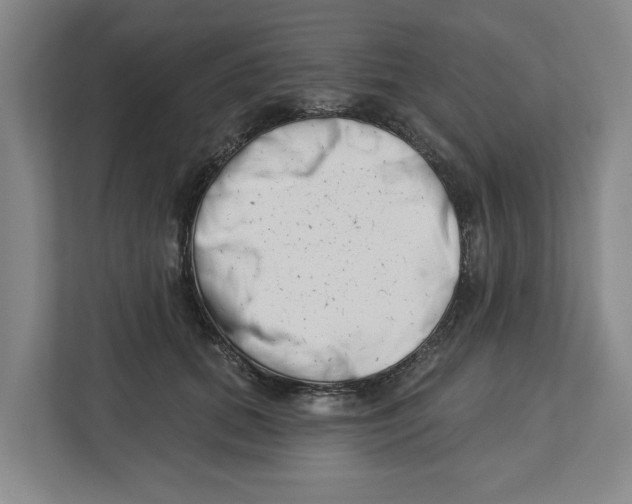 X0000112460655200909141059