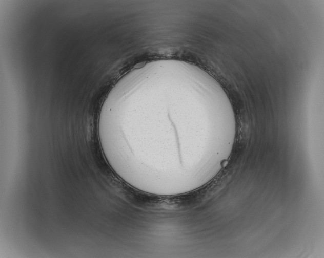 X0000112460656200909141059