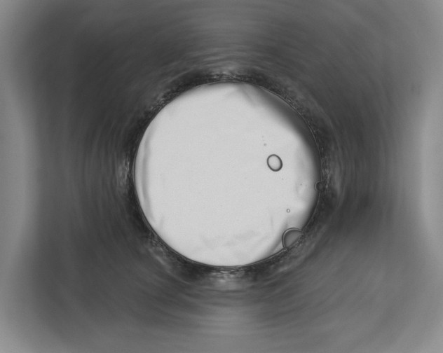 X0000112460660200909141059