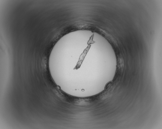 X0000112460664200909141059