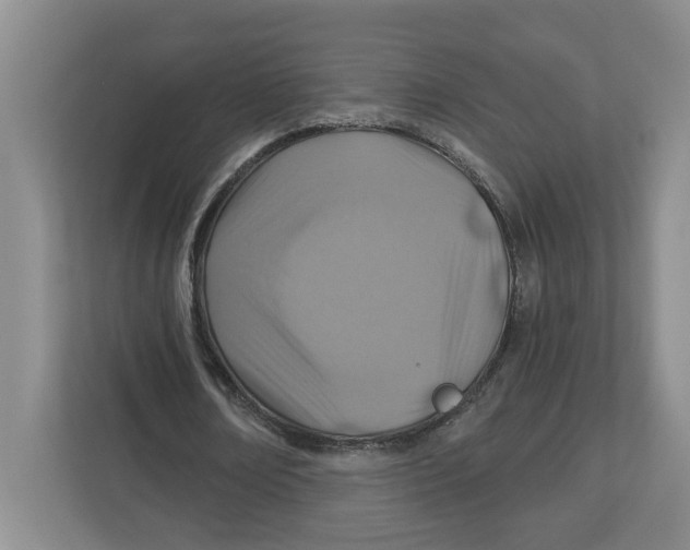 X0000112460674200909141059