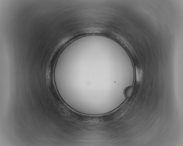 X0000112460675200909141059