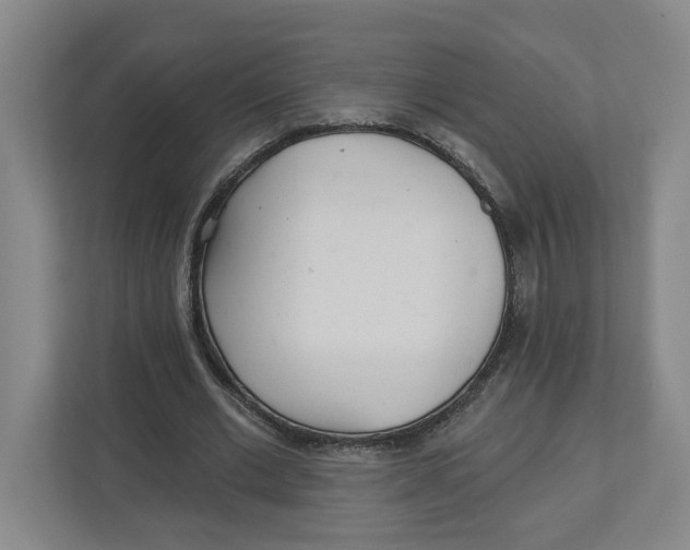 X0000112460677200909141058