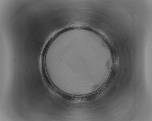 X0000112460678200909141058
