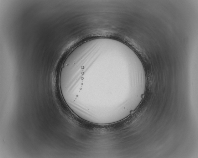 X0000112460679200909141058