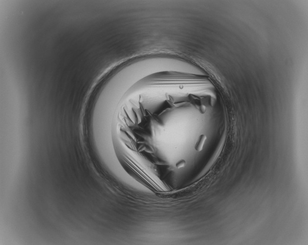 X0000112460680200909141058