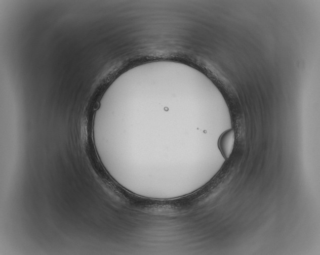X0000112460685200909141058