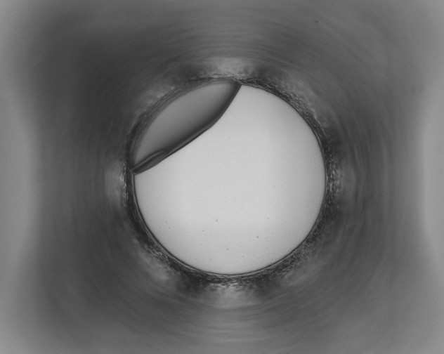 X0000112460688200909141058