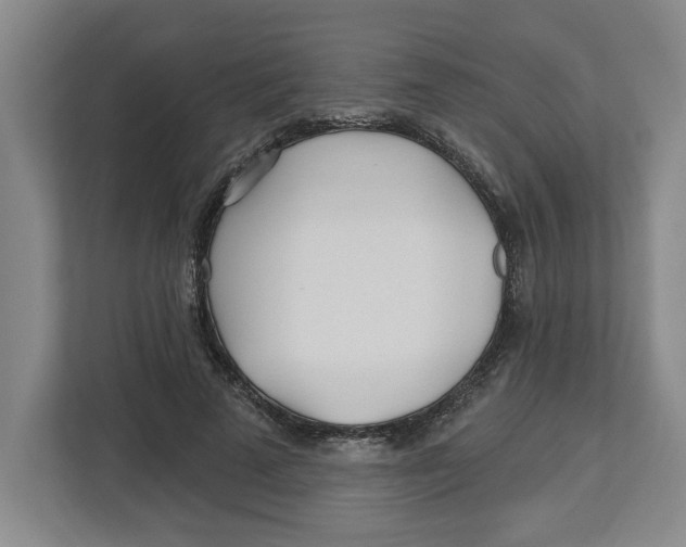 X0000112460689200909141058