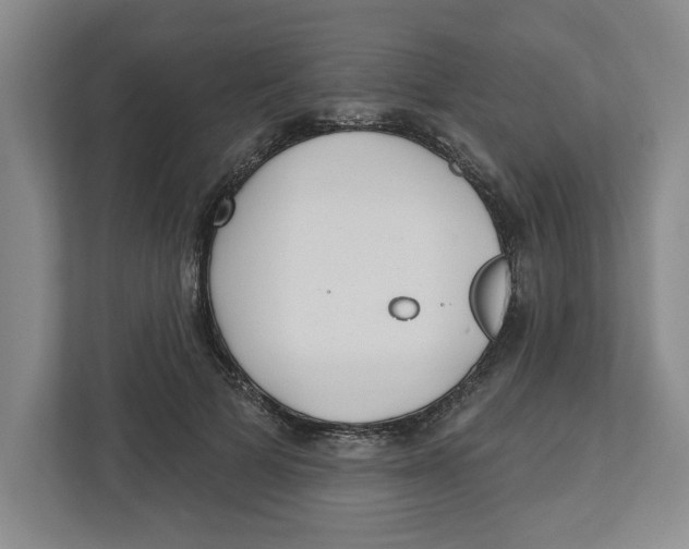 X0000112460697200909141058