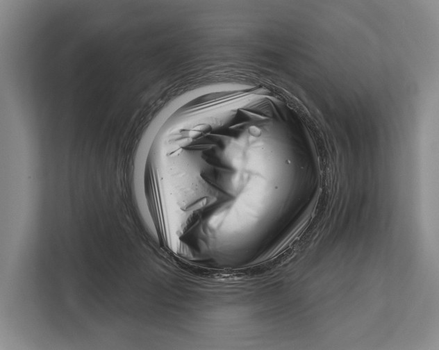 X0000112460701200909141058