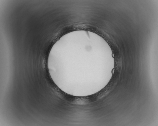 X0000112460708200909141058