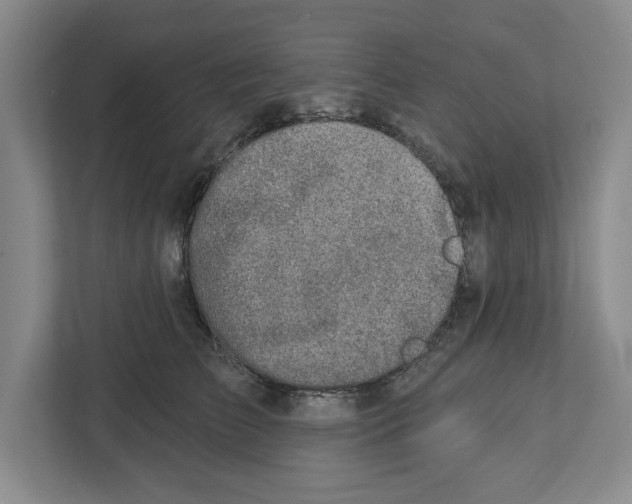 X0000112460709200909141058