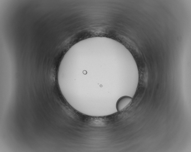 X0000112460710200909141058